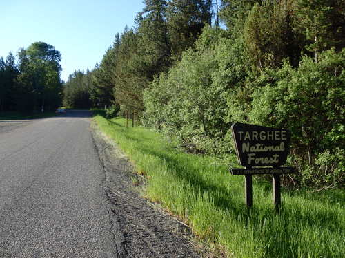 GDMBR: We entered the Targhee NF.